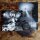 VORGA -- Radiant Gloom  LP  BLACK