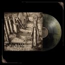 PORTAL -- Outre  LP  GALAXY