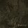 PORTAL -- Swarth  DLP  BLACK