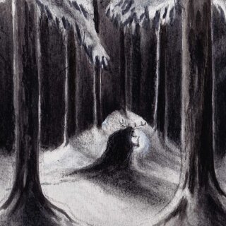 HAVUKRUUNU -- Havulinnaan  CD  JEWELCASE