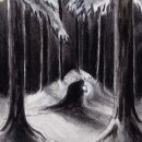 HAVUKRUUNU -- Havulinnaan  CD  JEWELCASE