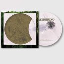THE GATHERING -- Nighttime Birds  LP  PICTURE
