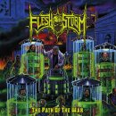 FLESH STORM -- The Path of the War  CD  JEWELCASE