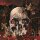 SLAYER -- South of Heaven  LP