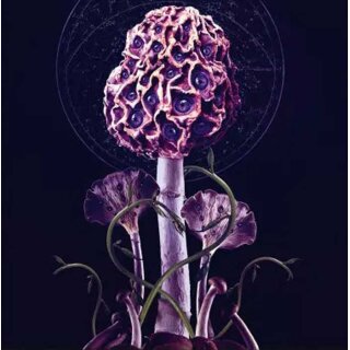BLUT AUS NORD -- Hallucinogen  DLP  MARBLED