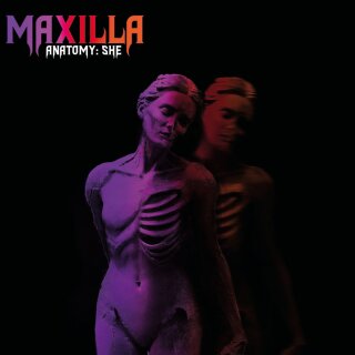 MAXILLA -- Anatomy: She  CD  JEWELCASE