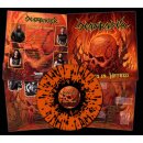 DEATHRAISER -- Forged in Hatred  LP  SPLATTER