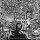MELTING ROT -- Infatuation with Premeditation  LP  BLACK