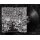 MELTING ROT -- Infatuation with Premeditation  LP  BLACK