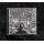 MELTING ROT -- Infatuation with Premeditation  CD  JEWELCASE