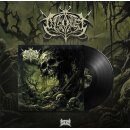 DISORGE -- s/t  LP  BLACK