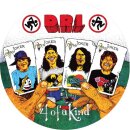 D.R.I. -- 4 of a Kind  LP  PICTURE DISC