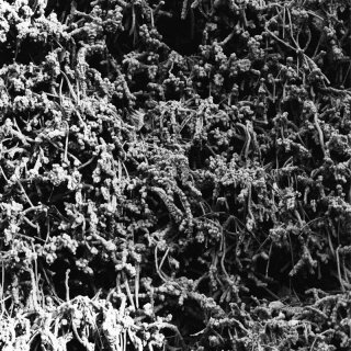 NECROPOLISSEBEHT -- Taurunovem - Th’Astraktyan Serfdome  CD  DIGIPACK A5