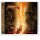 DETRITUS - Perpetual Defiance  CD  JEWELCASE