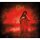 OPETH -- Still Life  DLP  CLEAR