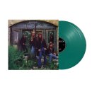 TROUBLE -- s/t  DLP  VERDE 35th ANNIVERSARY