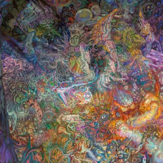 DEVOID OF THOUGHT -- s/t  LP  ORANGE