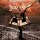 BORKNAGAR -- Epic  DLP  BLACK