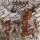 HIRAX -- Hate, Fear & Power  LP  CLEAR