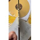 GOTTHARD -- The Call  12" EP SANDY