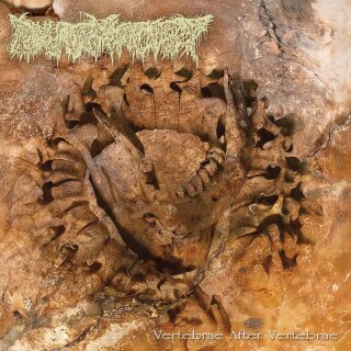 PHARMACIST -- Vertebrae after Vertebrae  LP  ORANGE / WHITE GALAXY