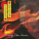 TOKYO BLADE -- Burning Down Paradise  DLP  BLACK