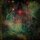 LIMBONIC ART -- Arcane Past - The Celestial Grimoire  8CD  ARTBOOK