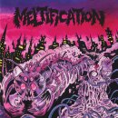 MELTIFICATION -- s/t  LP  BLACK