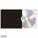 PENTAGRAM -- High Voltage – Live at Spotsylvania...