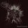 THY KILLING HAND -- Infernal Commands  CD  JEWELCASE