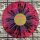 MELTIFICATION -- s/t  LP  SPLATTER