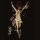PROFANATICA -- Disgusting Blasphemies Against God  LP  GALAXY