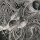 DEAD AND DRIPPING -- Nefarious Scintillations  LP  SPLATTER