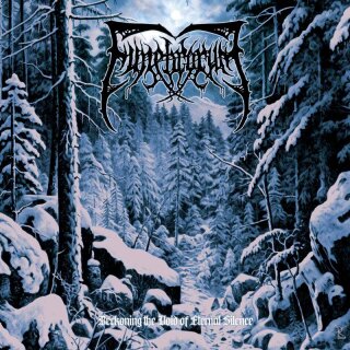 FUNEBRARUM -- Beckoning the Void of Eternal Silence  LP  BLACK / GREY SWIRL