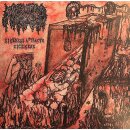 MEPHITIC CORPSE -- Sickness Attracts Sickness  LP  BLUE