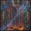SOULBURN -- Quantifying Cosmic Doom  DLP  BLACK  B-STOCK