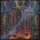 SOULBURN -- Quantifying Cosmic Doom  DLP  BLACK  B-STOCK