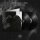 DOWNFALL OF NUR -- And the Firmament will Burn to Quench the Pain of this Earth  DLP  BLACK