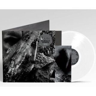 TAAKE -- En Skog Av Nidstang  LP  WHITE