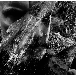 TAAKE -- En Skog Av Nidstang  CD  JEWELCASE