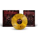 MASSACRE -- Tyrants of Death  LP  GOLD