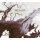 MIRROR OF DECEPTION -- The Estuary  CD  DIGIPACK