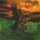 MY DYING BRIDE -- The Dreadful Hours  DLP  CLEAR  B-STOCK