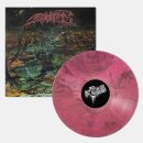 SNET -- V bažinách vědomí  LP  PINK QUAGMIRE