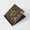 FILTH -- Death Exhibition  CD  JEWELCASE