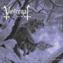 VINTREGAL -- Назустріч останньому світанку / Towards the...