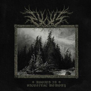 WLVS -- Rooted in Ancestral Memory  LP  TRANSPARENT RED