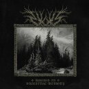 WLVS -- Rooted in Ancestral Memory  LP  TRANSPARENT RED