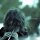 ALCEST -- Souvenirs dun autre monde  CD  JEWELCASE
