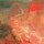 MORBID ANGEL -- Blessed are the Sick  LP  WHITE  B-STOCK